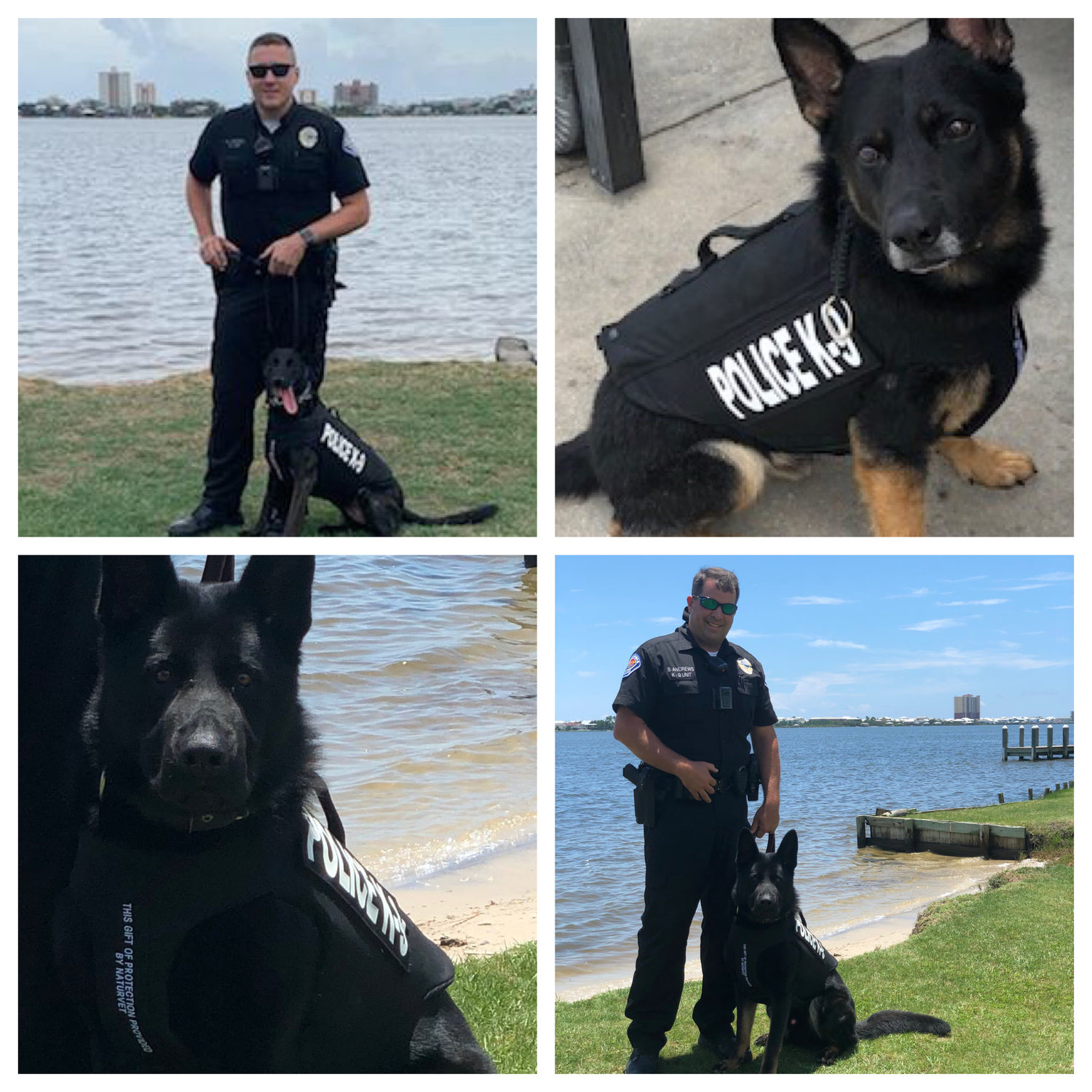 Gulf Shores Police K9 officers receive body armor donation